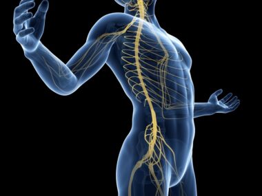 amyotrophic lateral sclerosis study