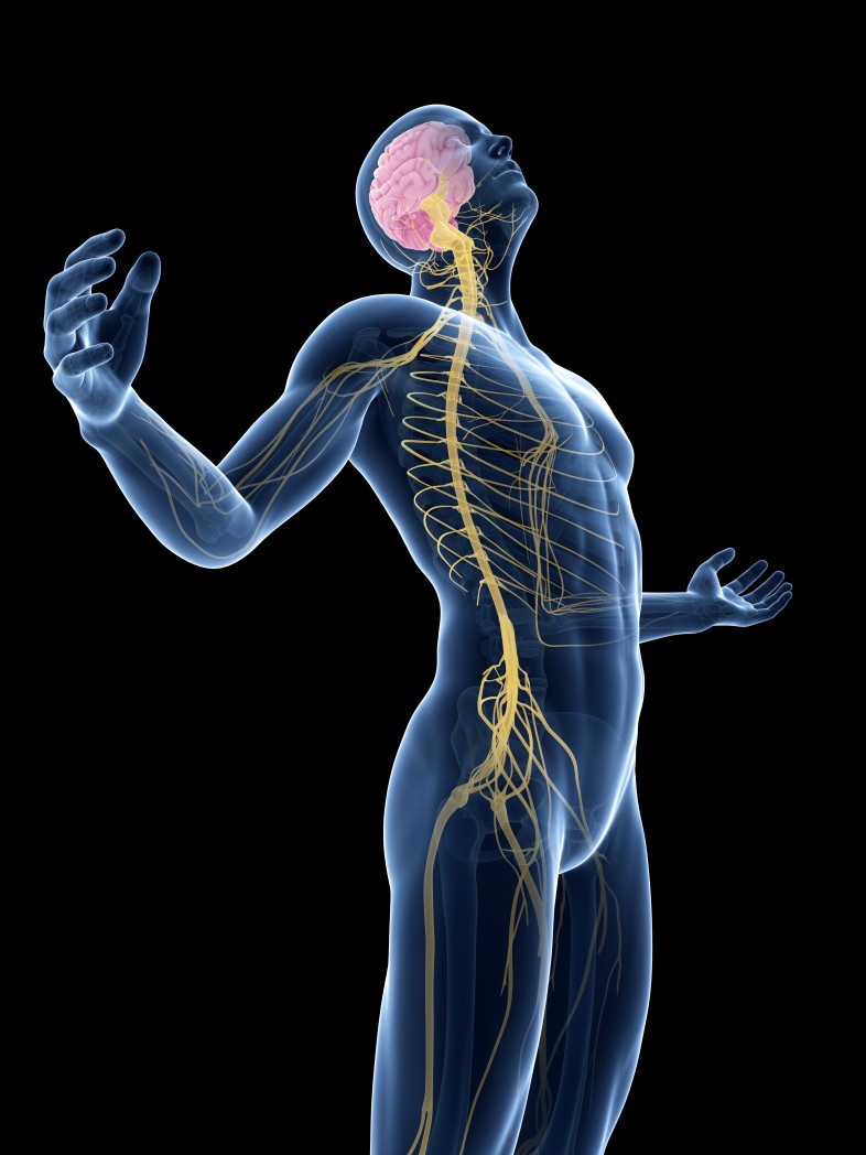 amyotrophic lateral sclerosis study