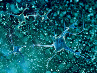 Brain capillaries and ALS