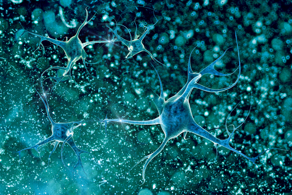 Brain capillaries and ALS