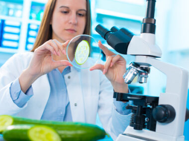 ALS and pollutants