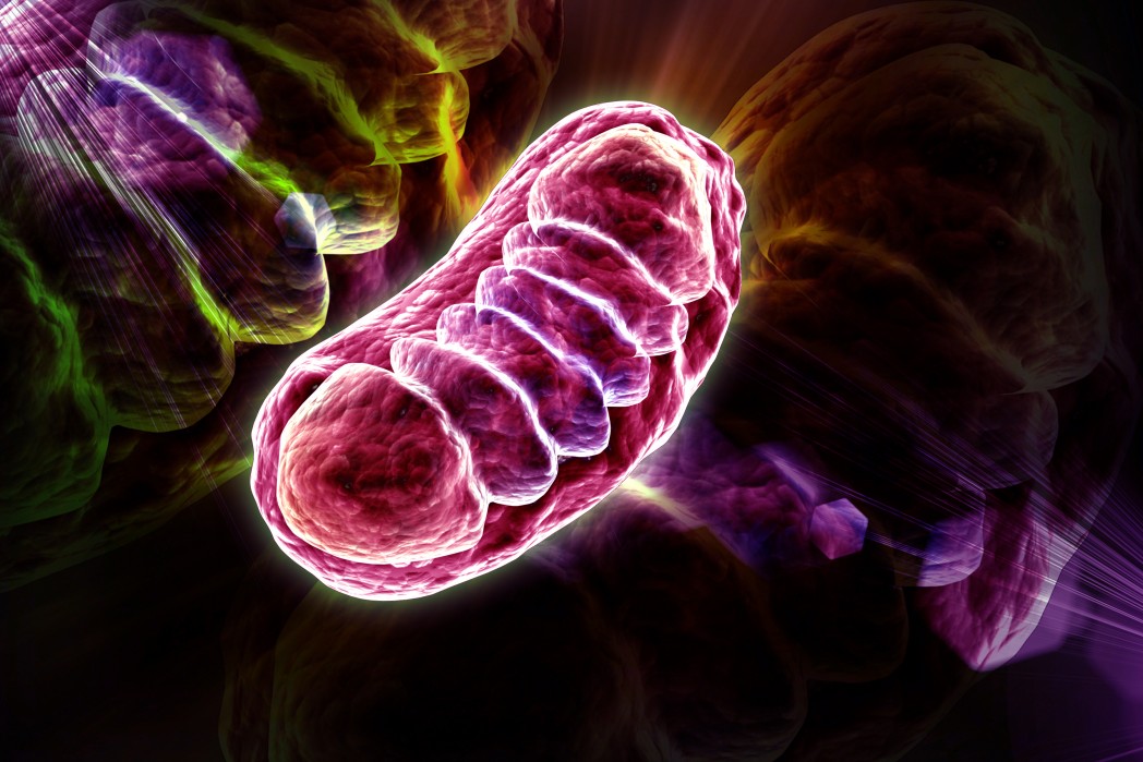 ALS protein chokes mitochondria