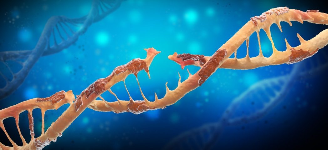 Familial ALS Mutation Turns Protein That Binds to RNA Toxic, Study Finds