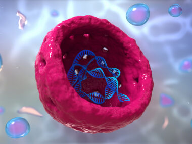 nucleolus