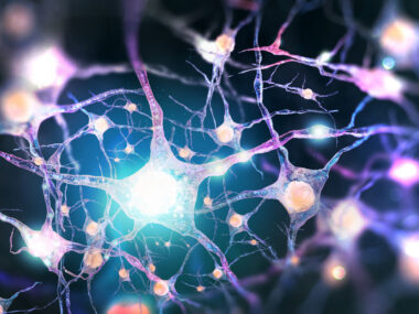 motor neuron study