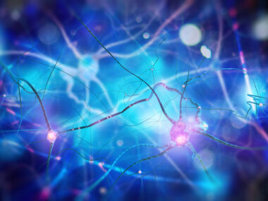 MAP4K4, motor neurons