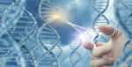 ALS and genes