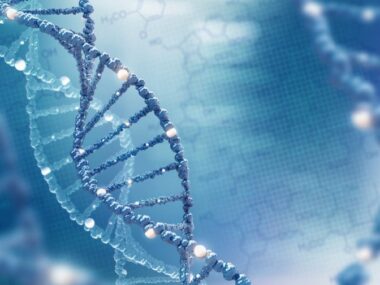 antibodies and proteins