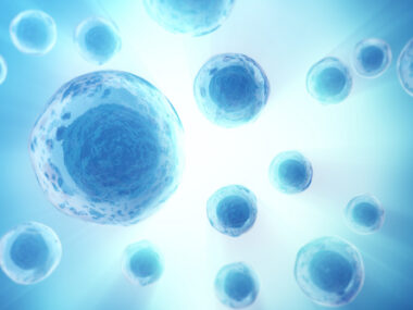 nucleolus