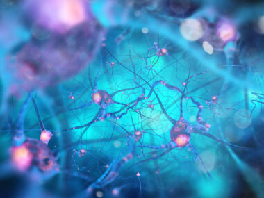 Autophagy