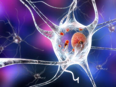 motor neurons and toxicity
