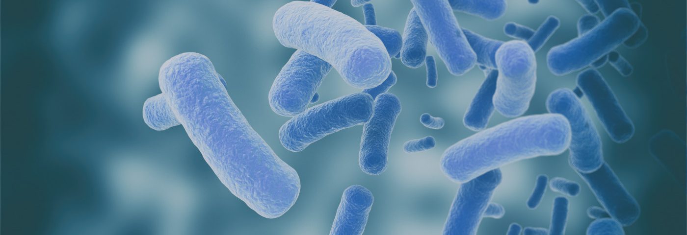 Bacteria and Fungi Found in Central Nervous System of ALS Patients, Study Reports Bacteria and Fungi Found in Central Nervous System of ALS Patients, Study Reports