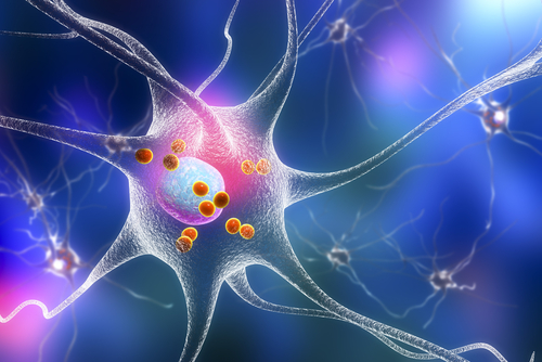 Energy Demands to Counter Gravity in Vertical Neurons May Lie at Origin of ALS, Study Proposes