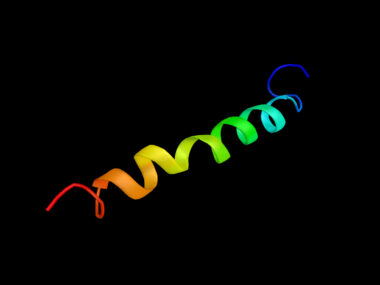 TDP-43 protein work