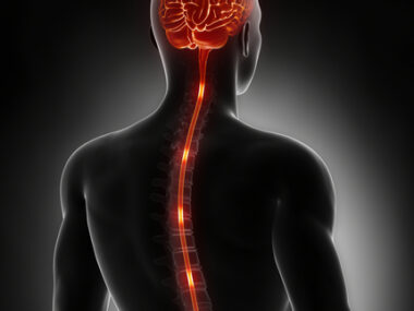 nerve injury and ALS