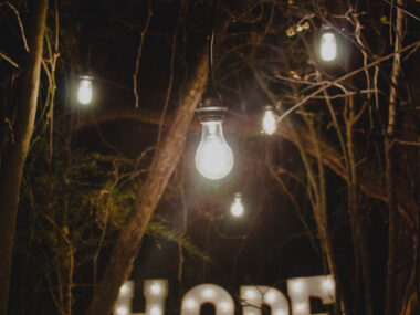 ALS Association goals