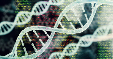 DNA damage and ALS