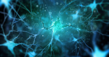 cholesterol problems in ALS | ALS News Today | nerve cells need for cholesterol