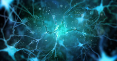 cholesterol problems in ALS | ALS News Today | nerve cells need for cholesterol