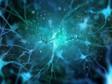 cholesterol problems in ALS | ALS News Today | nerve cells need for cholesterol