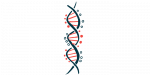 This is an illustration of a DNA strand.