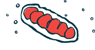 An illustration shows mitochondria.