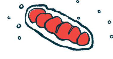 An illustration shows mitochondria.