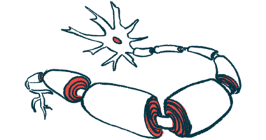 An illustration shows neurons protected by a myelin sheath.