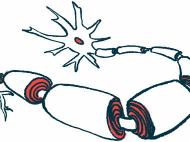 An illustration shows neurons protected by a myelin sheath.