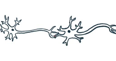 A close-up view of nerve cells show the axons connecting them.