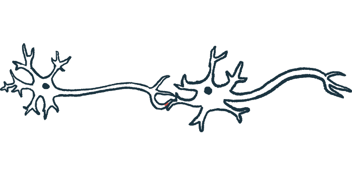Nerve cells are shown in this illustration.