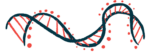 Illustration of a DNA strand.