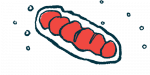 An illustration shows a mitochondrion.