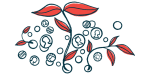 A money grows on trees illustration shows coins multiplying as trees sprout from the ground.