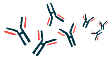 A group of antibodies is pictured.