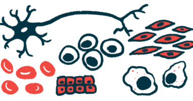 An illustration depicts many different types of stem cells.