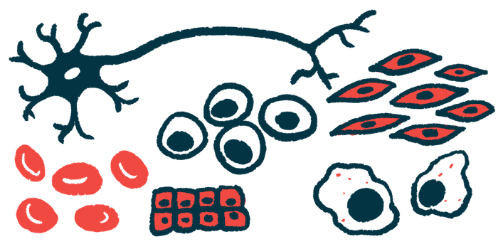 Illustration of many stem cells.