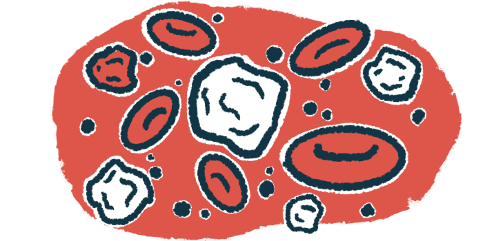 This illustration shows a microscopic view of white blood cells.