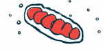 An illustration of mitochondria in a cell.