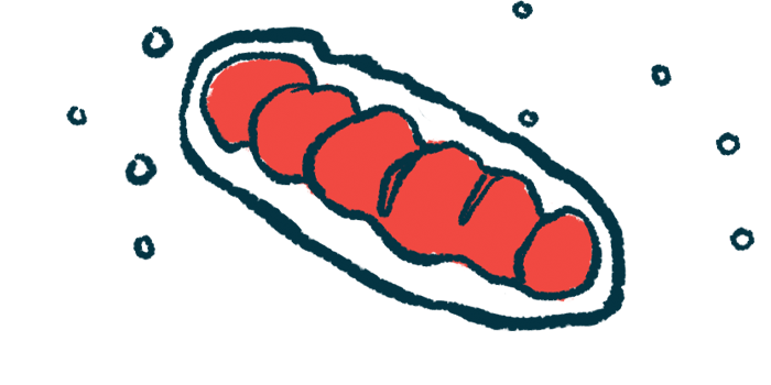 An illustration of mitochondria in a cell.