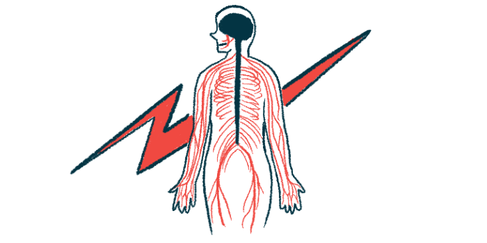 An illustration showing from the back a person's central nervous system.