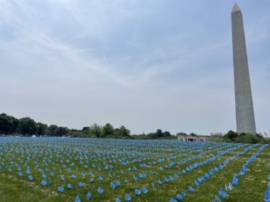 A grassy lawn in front of the Washington Monument features 6,000 small blue flags planted in rows, representing people with ALS.