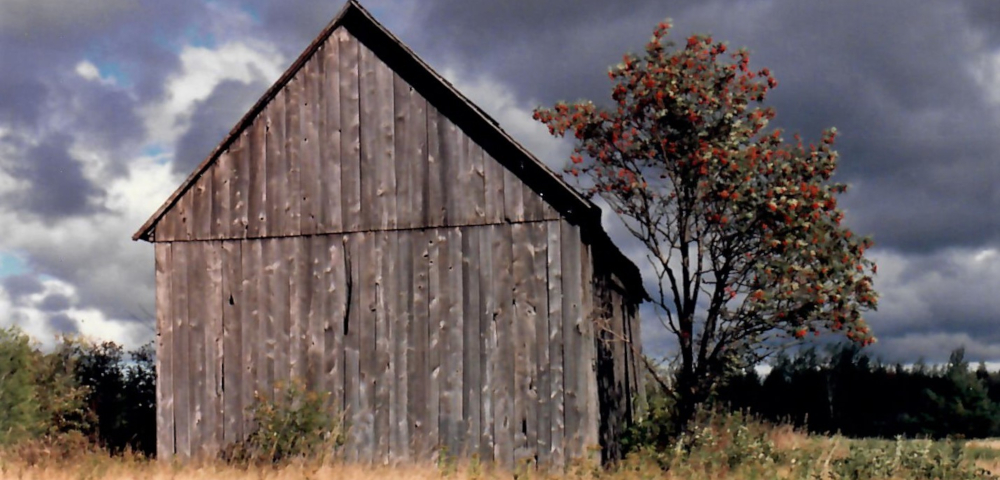 A older barn of mostly dark, older wood and no windows sits just left of center, with a tree with some red flowers to its immediate right. The sky has dark clouds, with some patches of white and small bits of blue.
