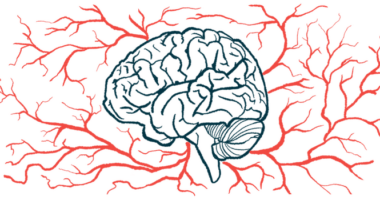 The brain and nervous system is shown in this illustration.