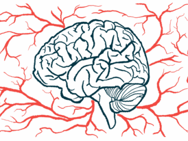 The brain and nervous system are shown in this illustration.