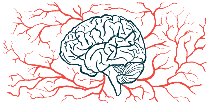 The brain and nervous system is shown in this illustration.