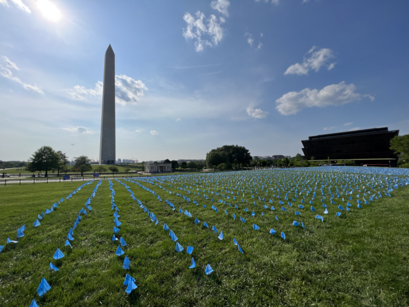 Wide view of ALS flags in a field 