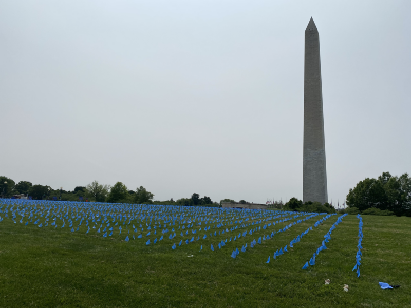 Wide view of ALS flags in a field with monument in the background