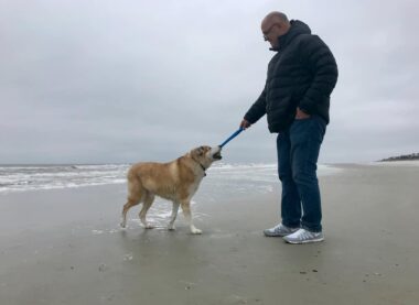 A low-angle photo shows a man bundled up in a dark jacket and jeans walking on the beach with a dog. Both the man and the dog are holding either end of what appears to be a toy or stick. It's a cloudy day, and the waves lap gently against the hard-packed sand.