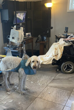 A light-colored dog stands on a tile floor with a sling underneath him that's attached to an overhead lift machine. A man in a power wheelchair is just visible in the background.